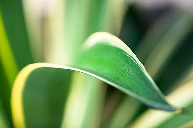 《单色莫比乌斯 刻之代赎》新战斗系统情报公开